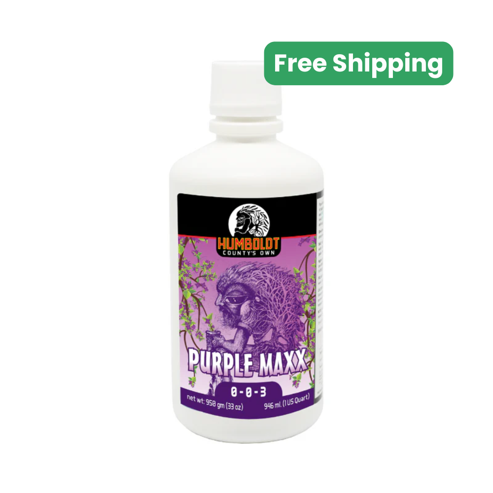 Humboldt County's Own Purple Maxx