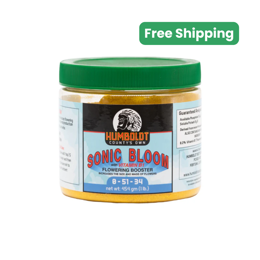 Humboldt County's Own Sonic Bloom