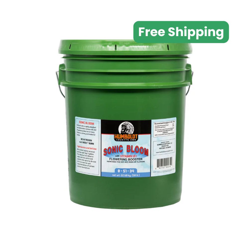 Humboldt County's Own Sonic Bloom