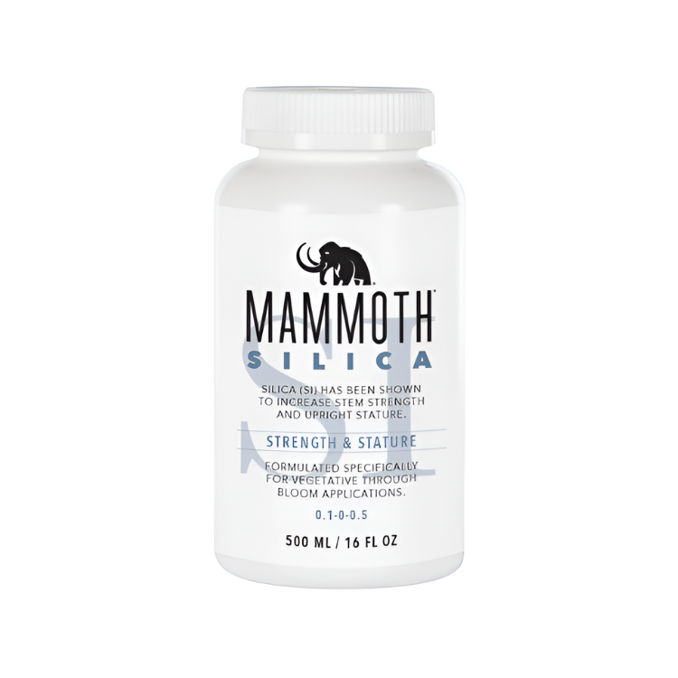 Mammoth Silica