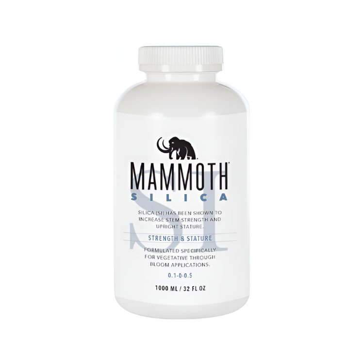 Mammoth Silica
