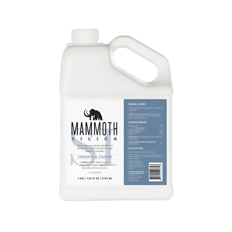 Mammoth Silica
