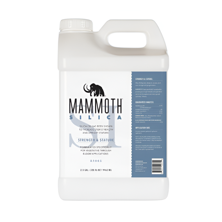 Mammoth Silica