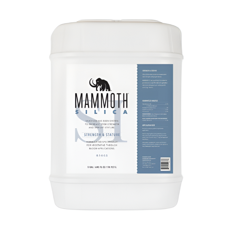 Mammoth Silica