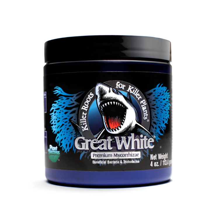 Plant Revolution Great White Mycorrhizae