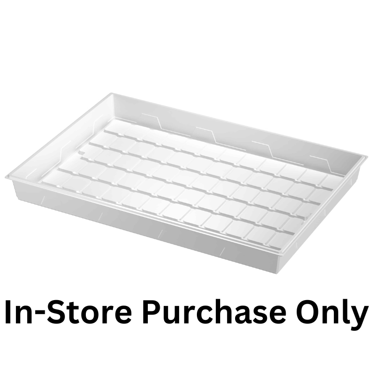 Platinum 3x6 White Tray