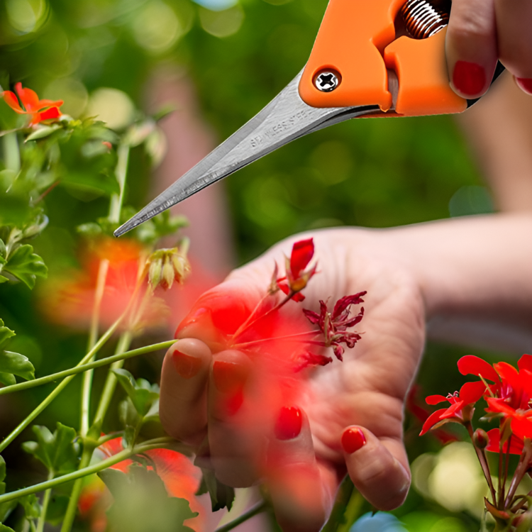 Platinum Curved Pruning Scissors