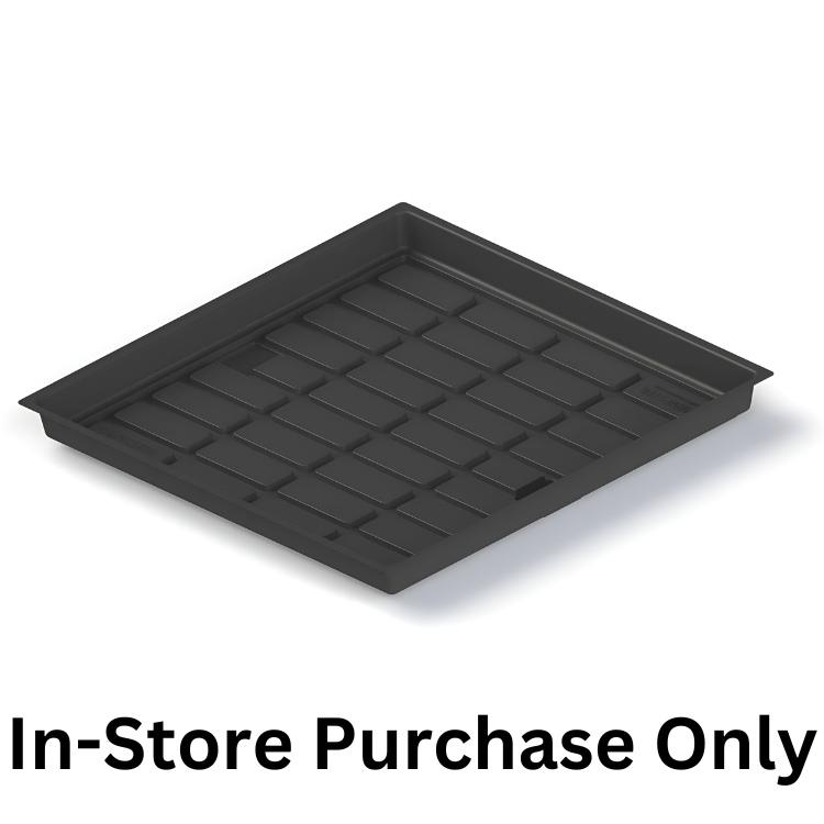 3x6 Platinum Tray OS