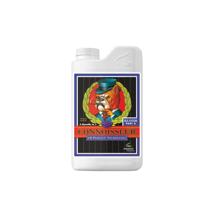 Connoisseur Bloom A 1 Liter