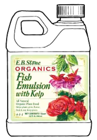 E.B. Stone Fish Emulsion with Kelp