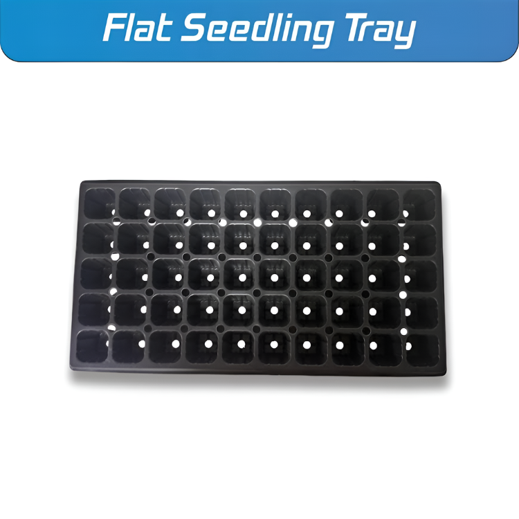 Platinum 50 Cell Insert soft