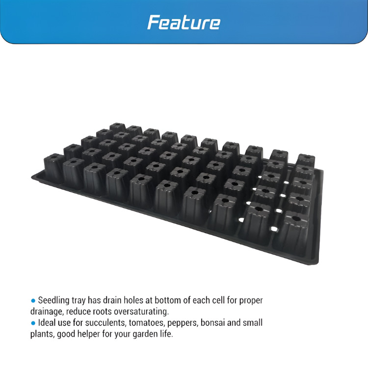 Platinum 50 Cell Insert soft