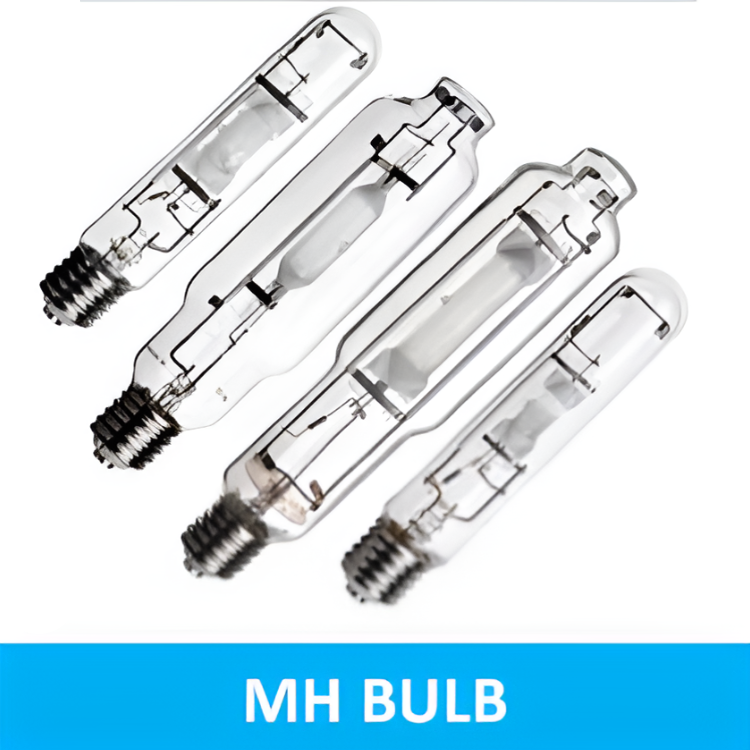 Platinum Super MH 600 Watt