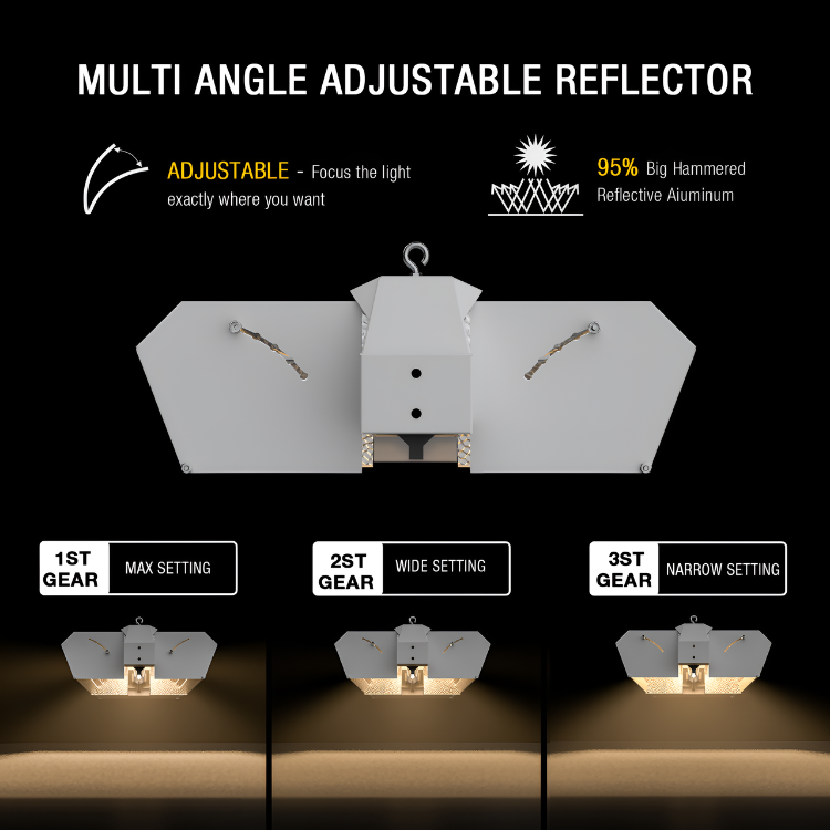 Platinum Comet Kit 120v-240v with Philips DE bulb