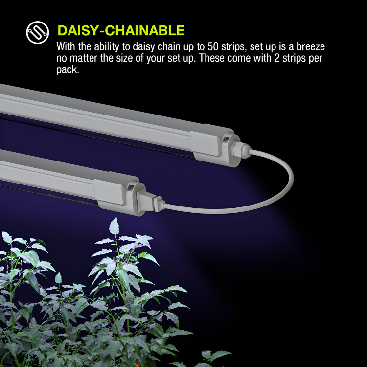 Platinum Horticulture Clone LED 18W Grow Light Fixture 9000K 120V 277V Propagation Seedling Light 2PACK