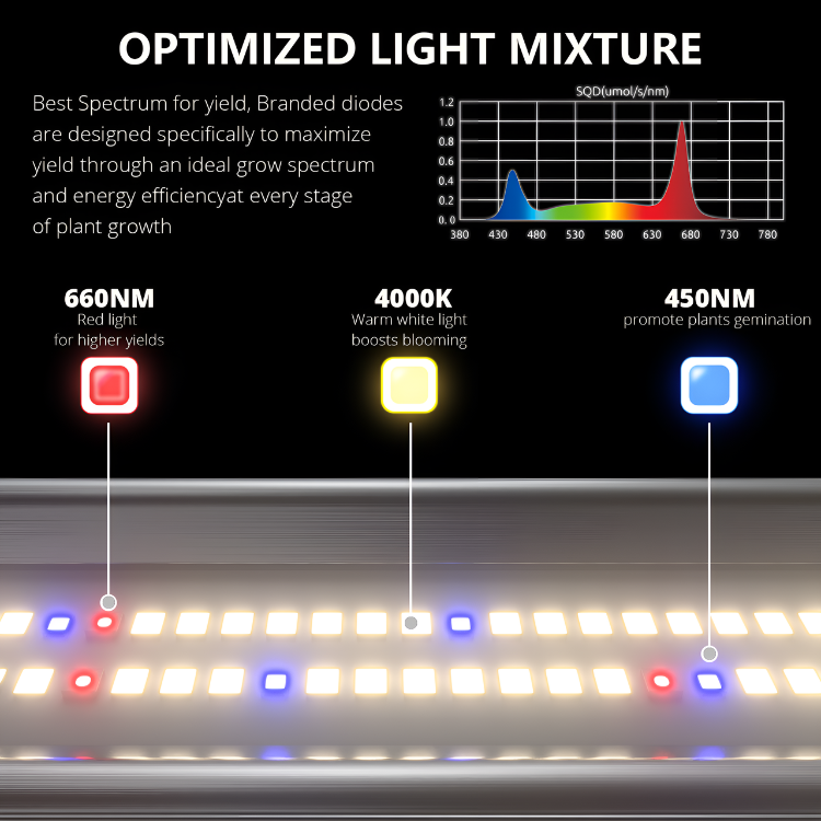 Platinum Beam LED 800w