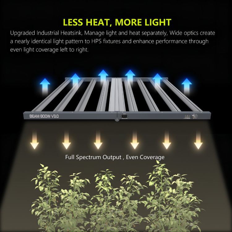 Platinum Beam LED 800w
