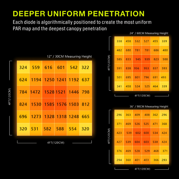 Platinum Beam LED 800w