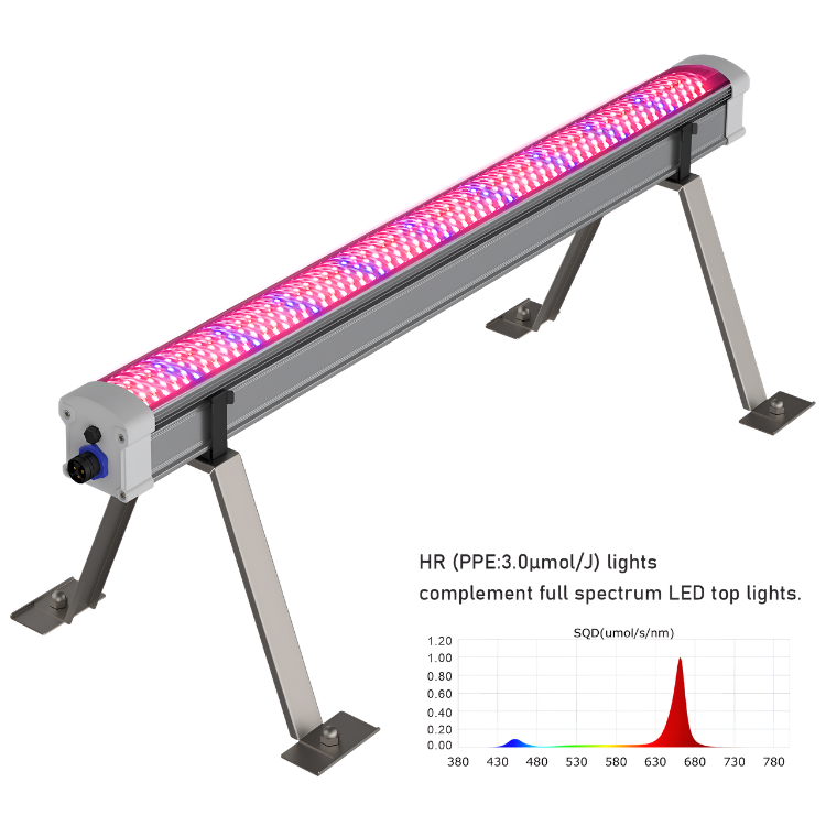 Platinum Cyclops 160w LED
