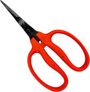 Chikamasa B-500H (2 Pack)