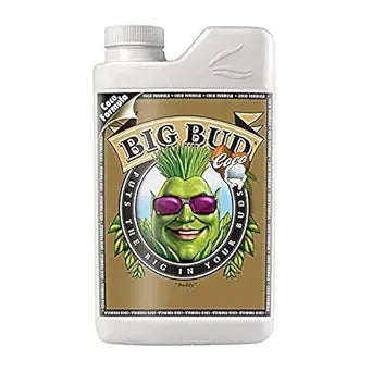 Big Bud CoCo