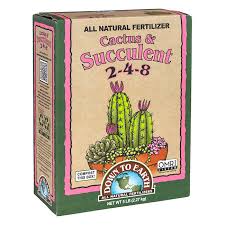 Cactus & Succulent 2-4-8 5lb DT