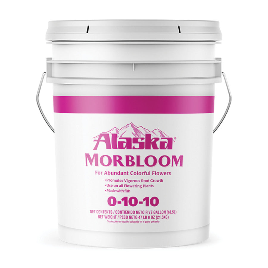 Alaska MorBloom