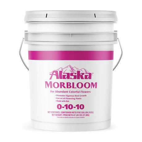 Alaska MorBloom