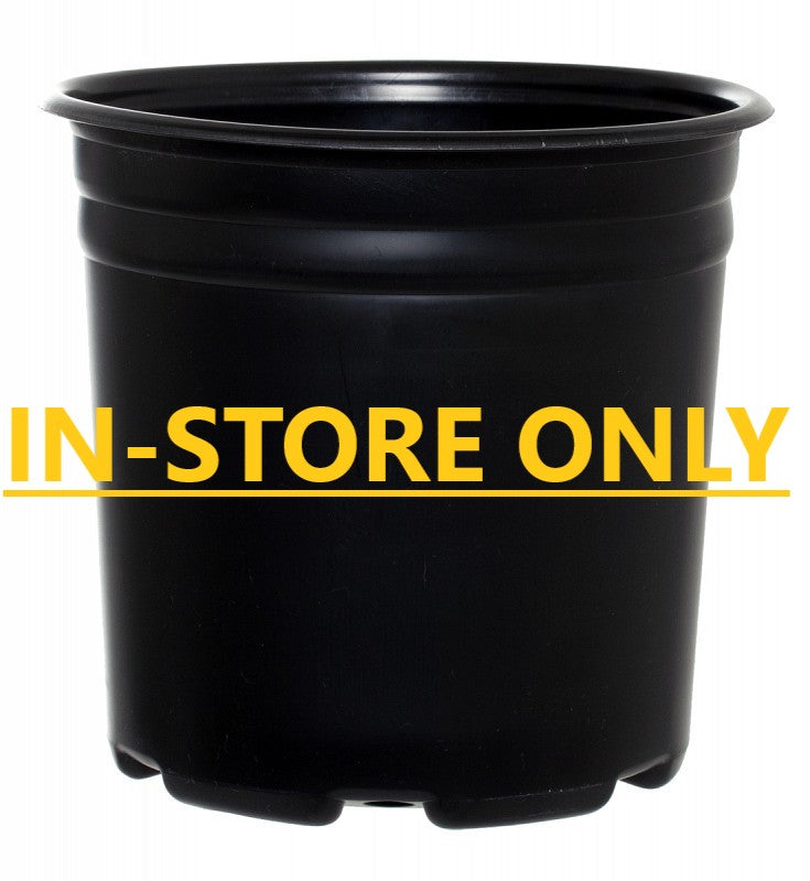 Thermo 2 Gal Pot