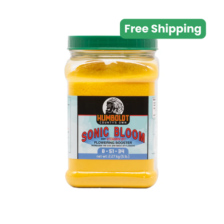 Humboldt County's Own Sonic Bloom