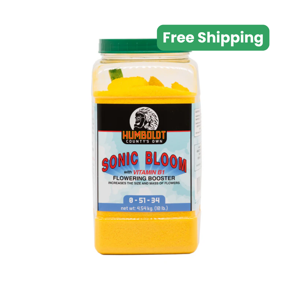 Humboldt County's Own Sonic Bloom