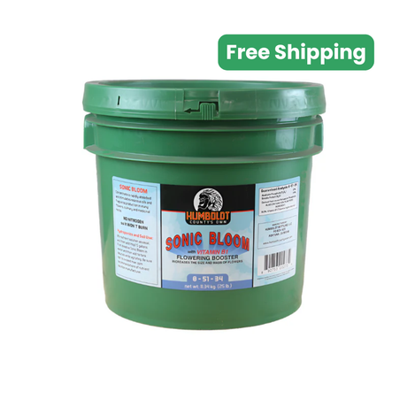 Humboldt County's Own Sonic Bloom