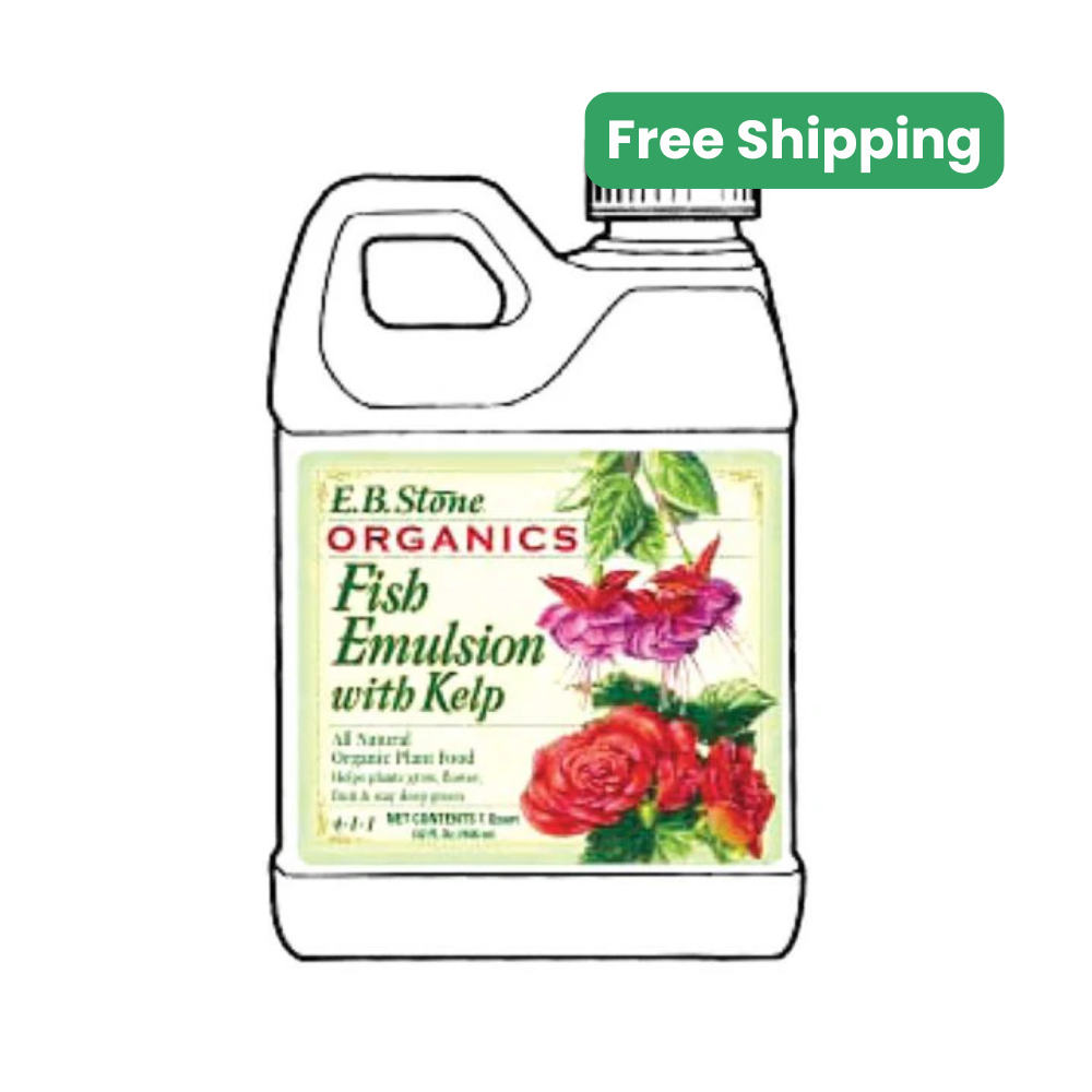 E.B. Stone Fish Emulsion with Kelp