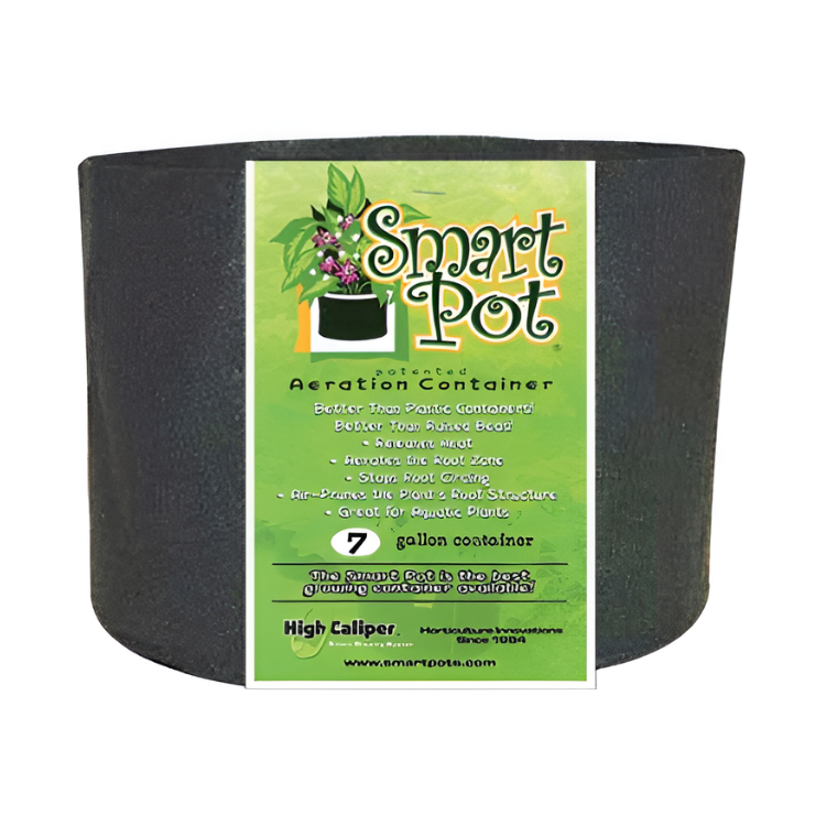 Smart Pot Black