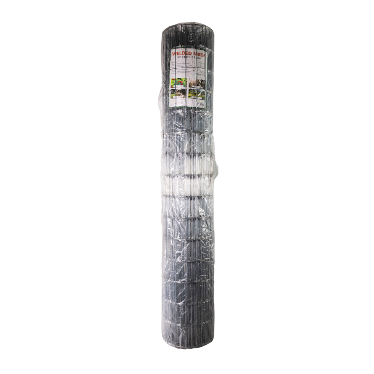 Welded Wire Mesh Hot Dipped Galvanized