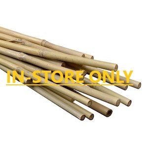 Bamboo Stakes 125pk