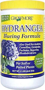 HYDRANGEA BLUEING 2 lb – Hydro City