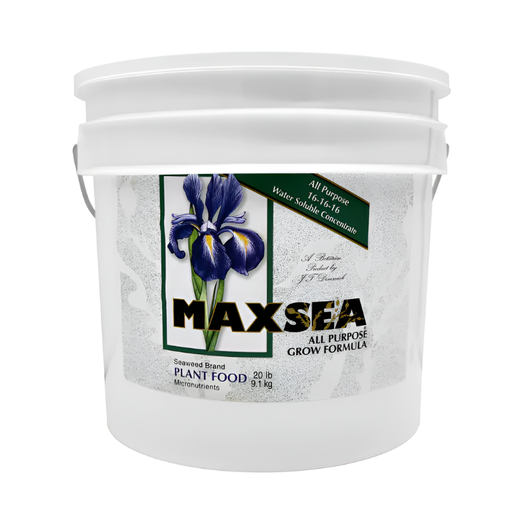 Maxsea Grow