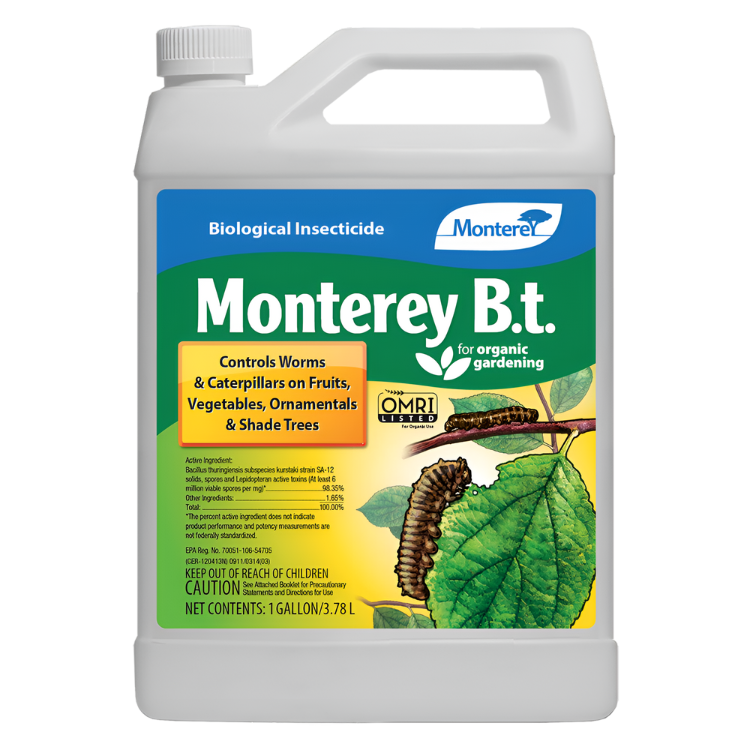 Monterey B.T.