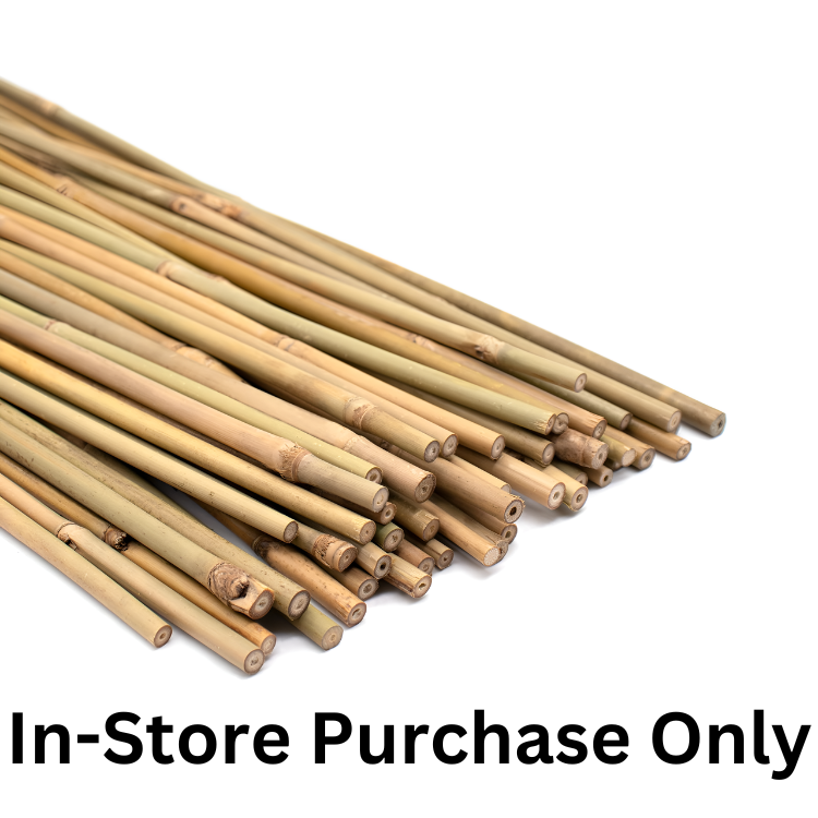 Platinum Bamboo Stakes 125pk