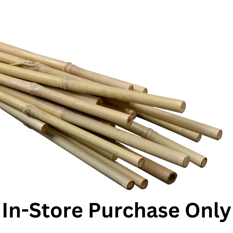 Platinum Bamboo Stakes 25pk