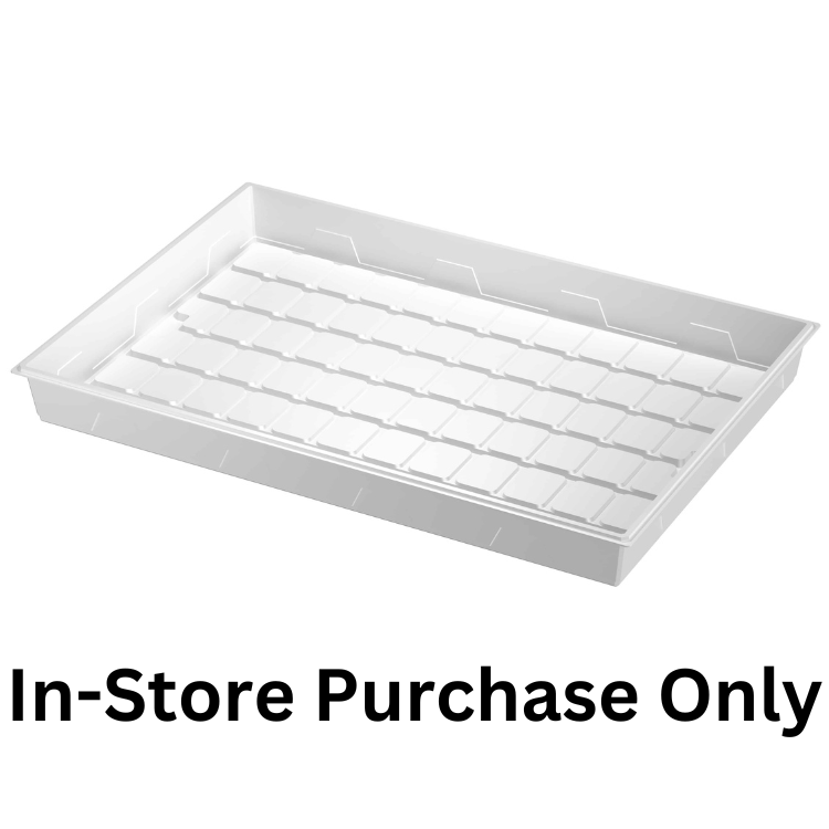 Platinum 4x6 White Tray