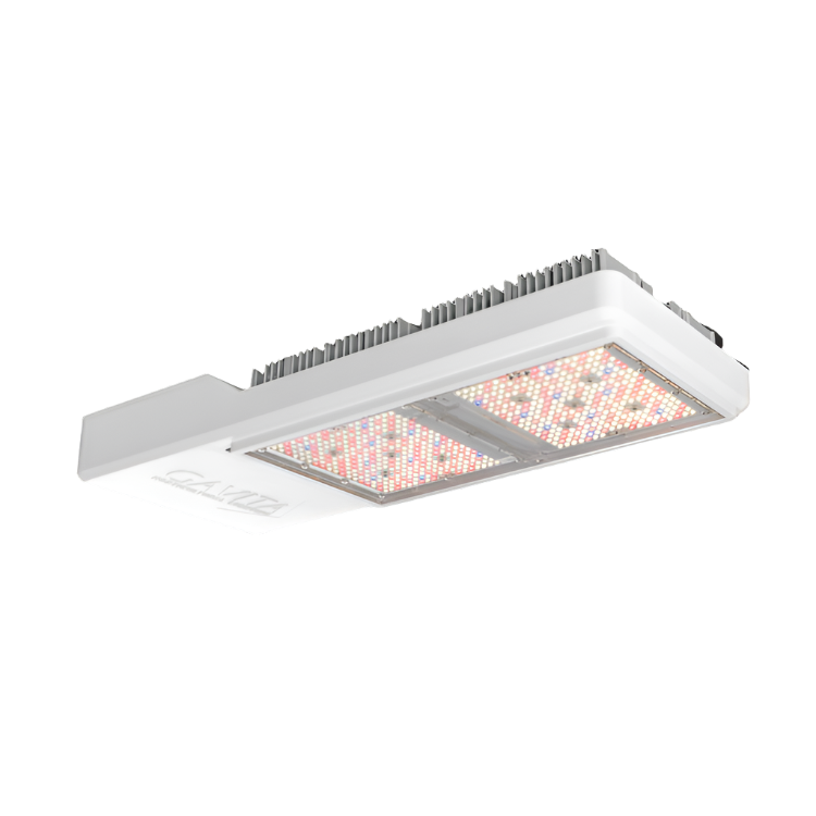 Gavita CT1930e LED 120-277V