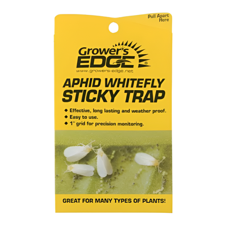 Grower's Edge Aphid Whitefly Sticky Trap 5/Pack