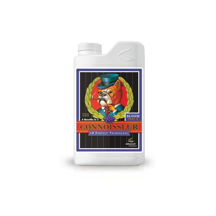 Connoisseur Bloom B 1 Liter