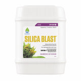 Botanicare Silica Blast