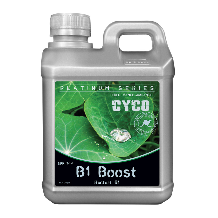 Cyco B1 Boost