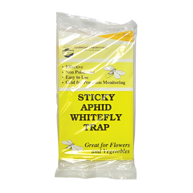 Sticky Aphid Whitefly Trap 5/Pack (80/Cs)