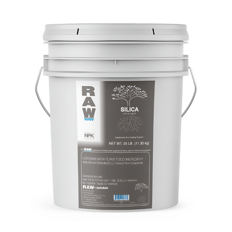 RAW Silica