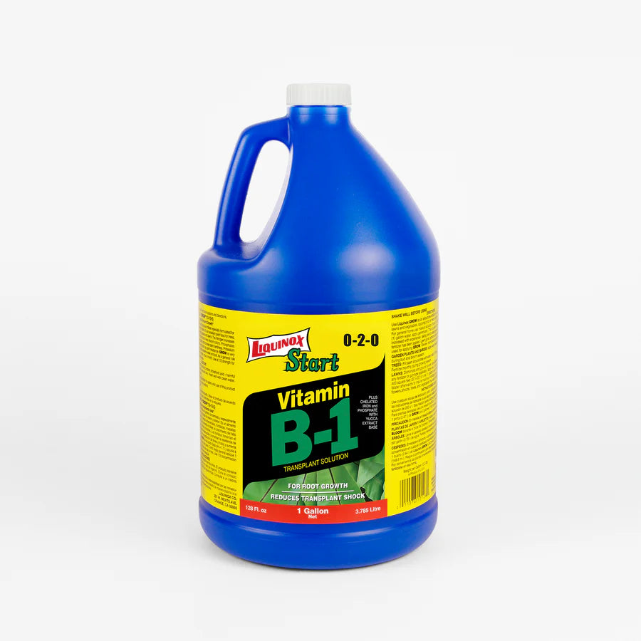 Liquinox Vitamin B-1 Start 0-2-0